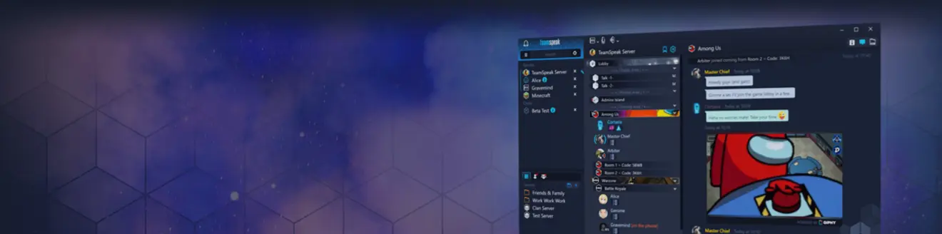 Team Speak Banner